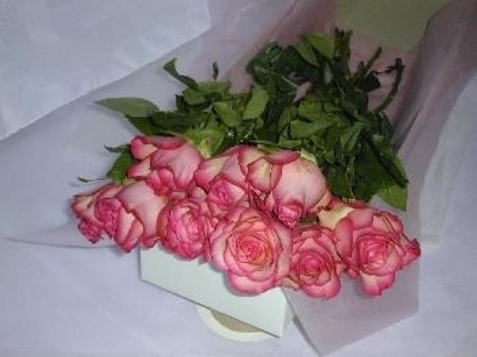 Images Mid Valley Gardens