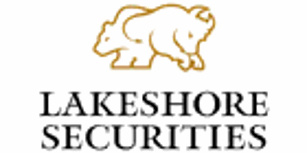 Lakeshore Securities Inc Logo