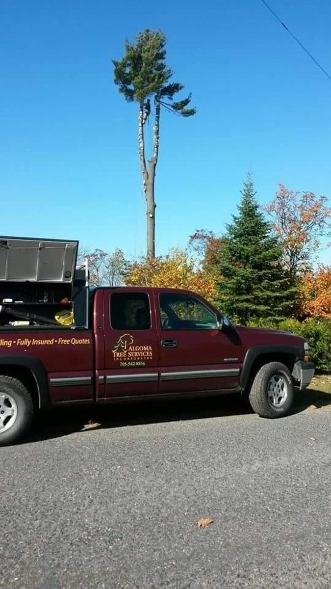 Images Algoma Tree Services