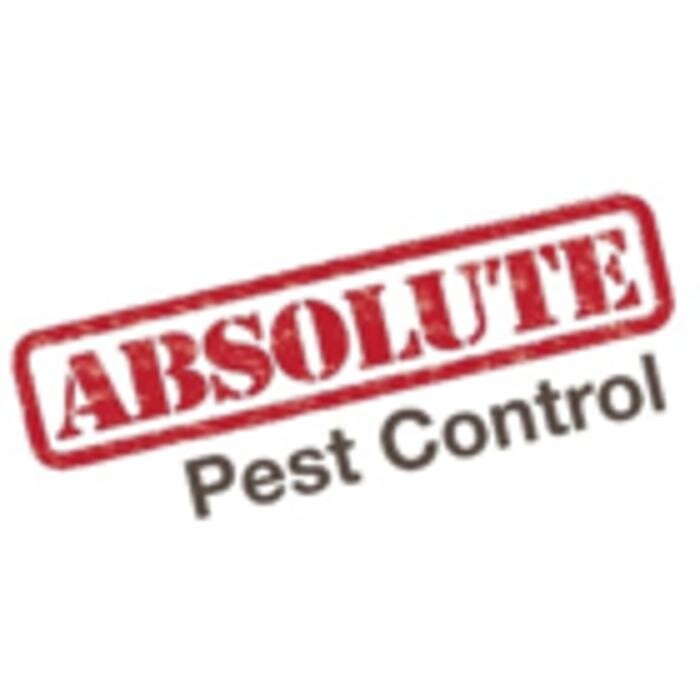 Absolute Pest Control Inc Logo