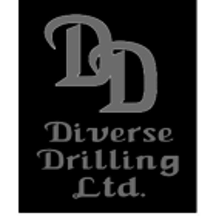 Diverse Drilling Ltd Logo