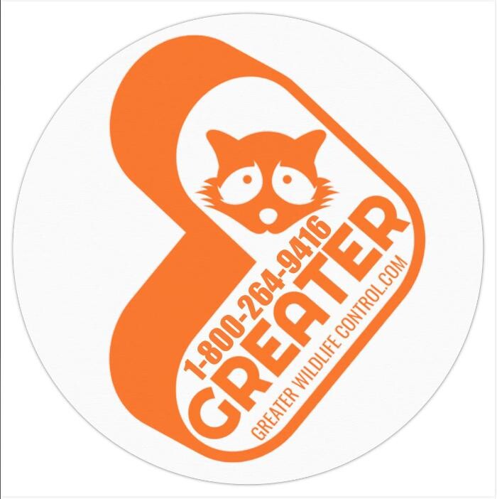 Images Greater Wildlife Control