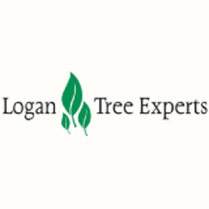 Logan Tree Experts Logo