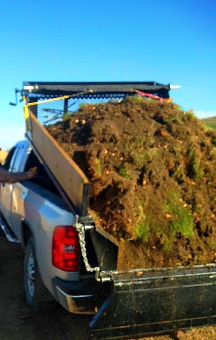 Images Regina Dumping and Hauling