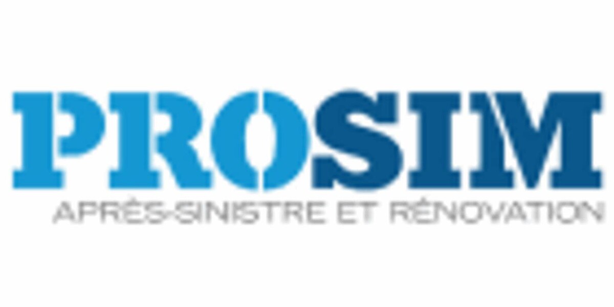 Prosim Construction Logo