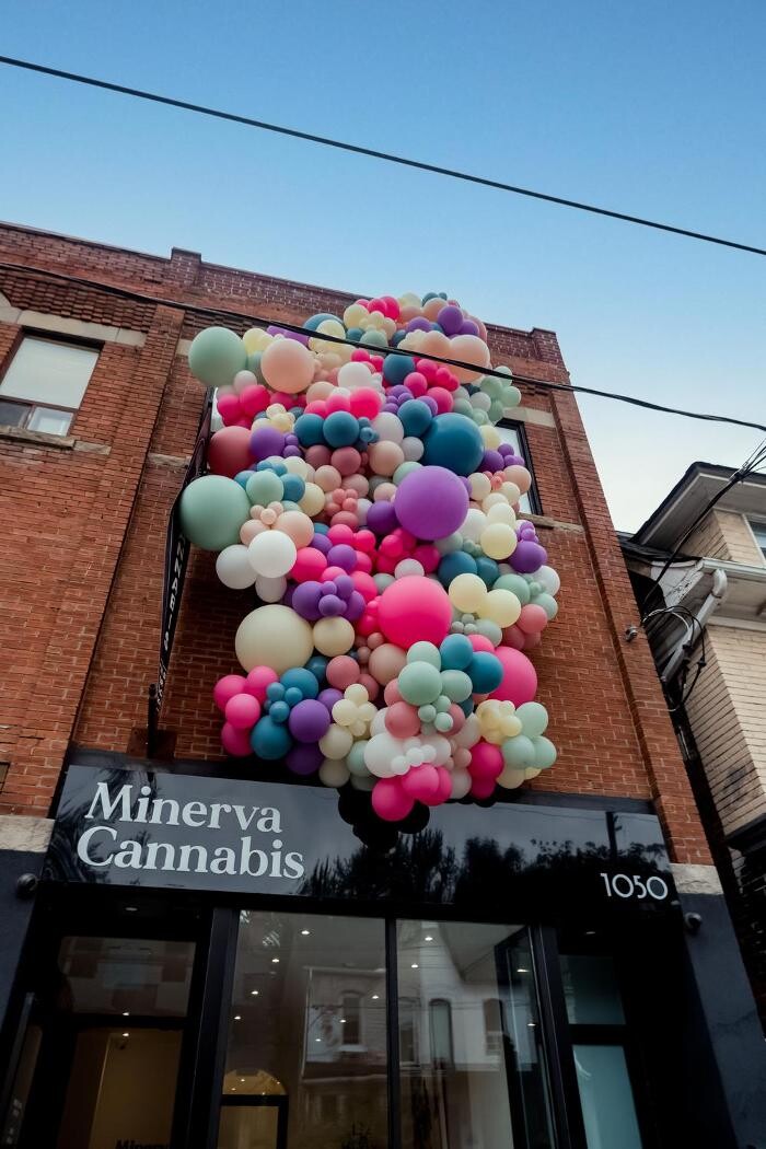 Images Minerva Cannabis Weed Dispensary Toronto