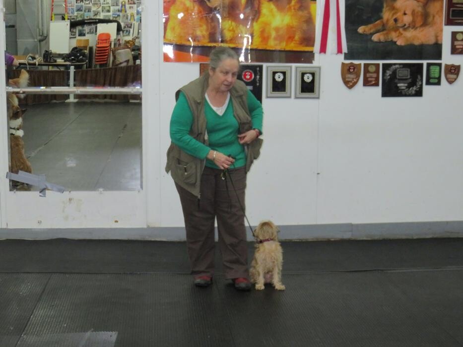 Images Club Canin La Laisse D'Or