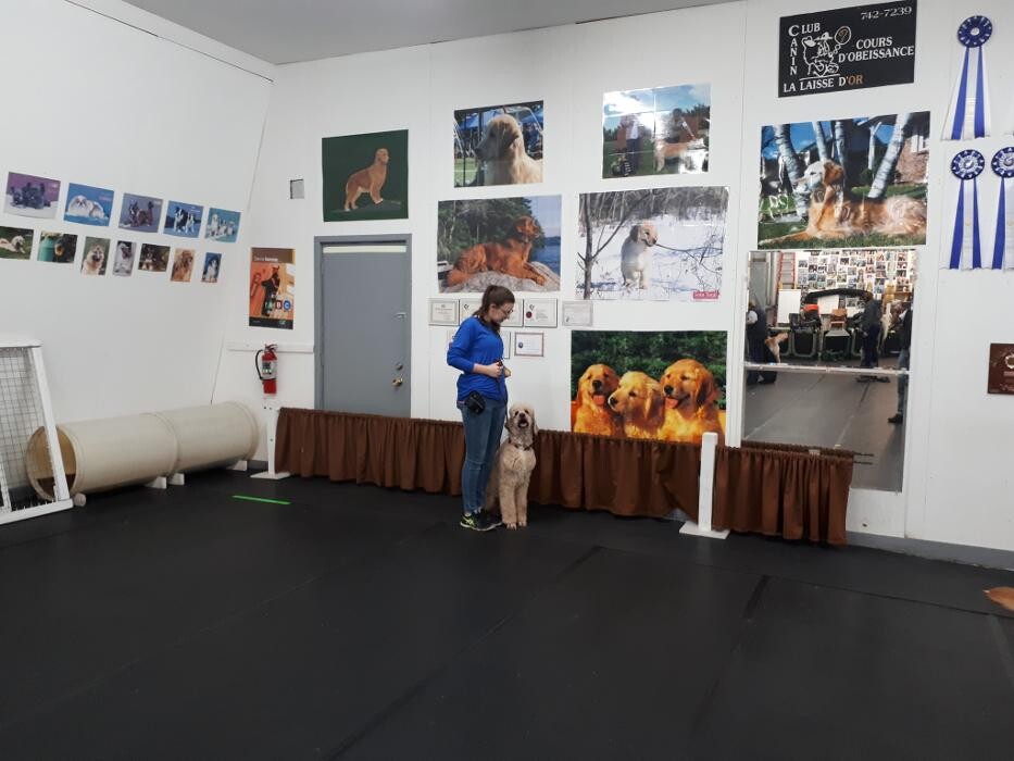 Images Club Canin La Laisse D'Or