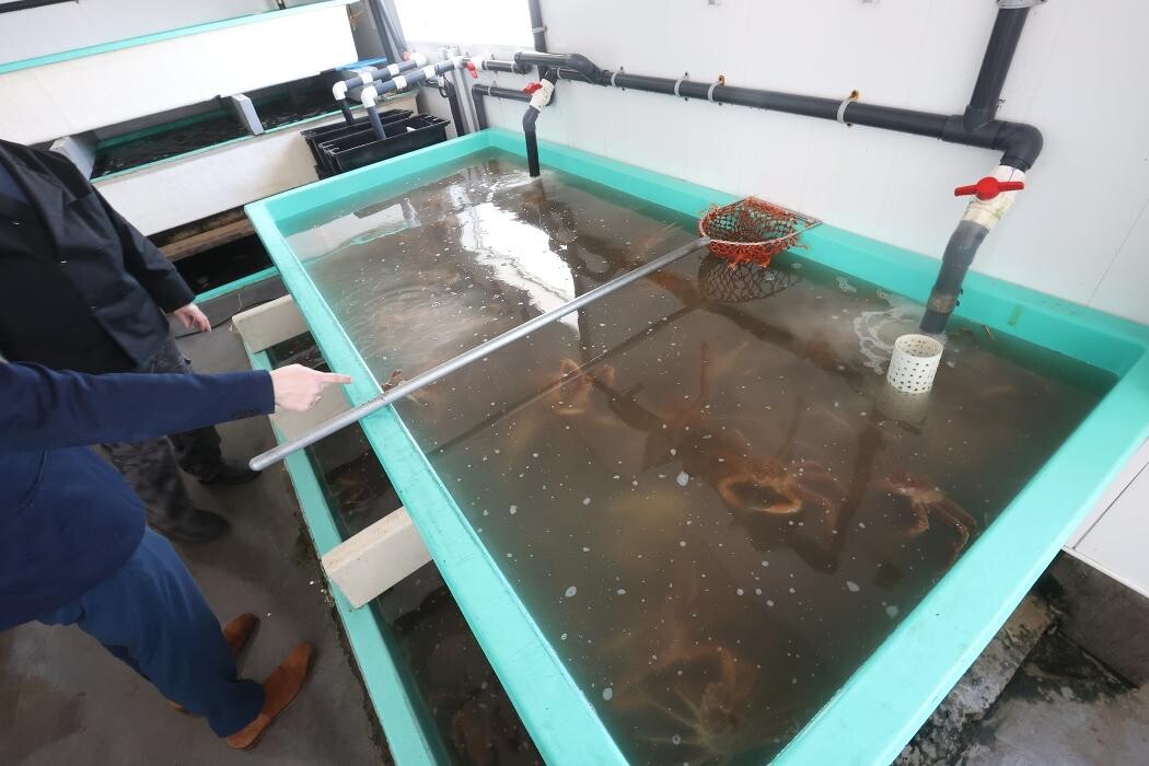 Images Marché de Poissons Lemieux