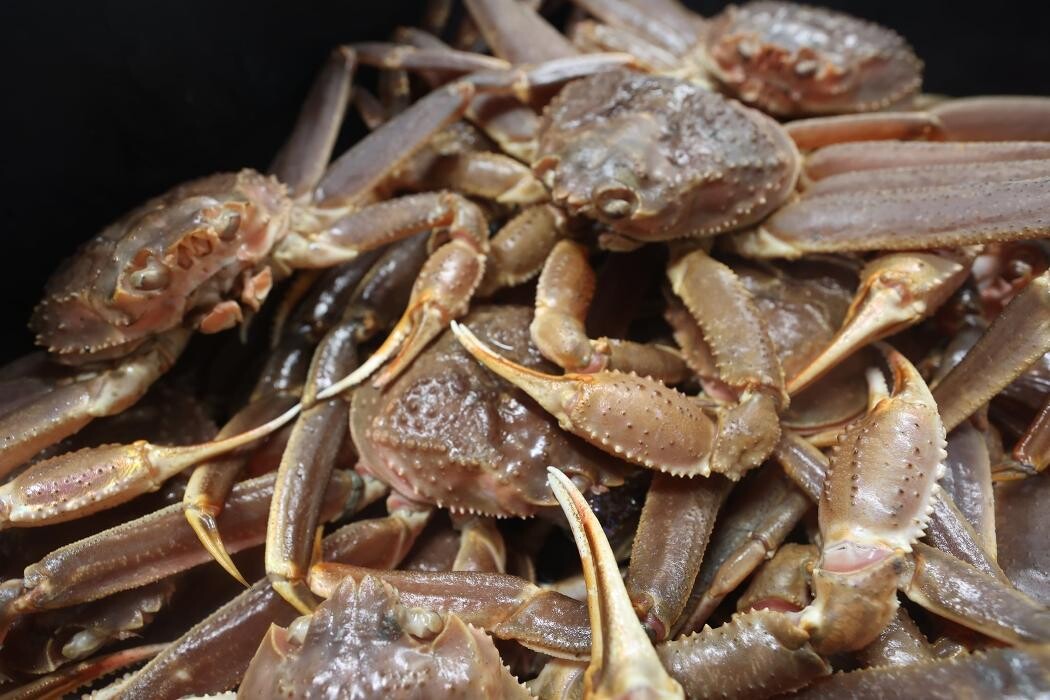 Images Marché de Poissons Lemieux