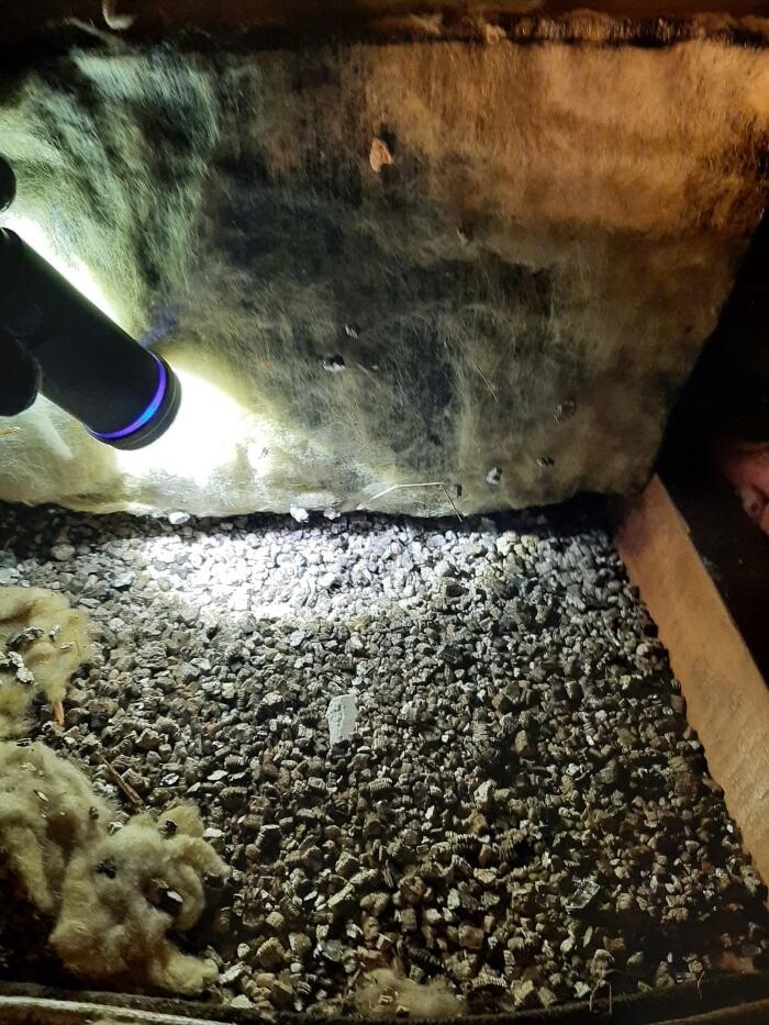 Images Assured Industries