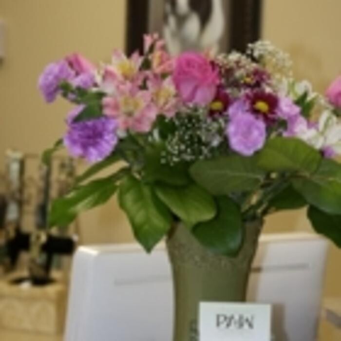 Images The Paw Resort & Wellness Centre
