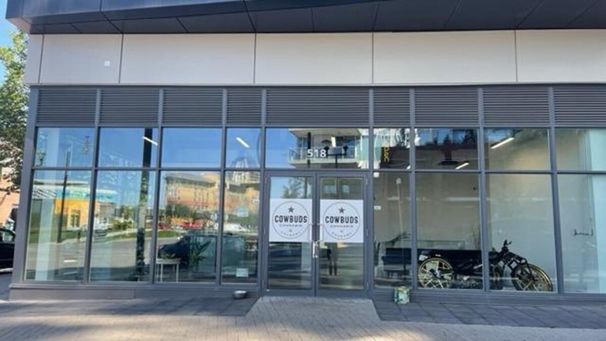 Images Cowbuds Cannabis Weed Dispensary Calgary