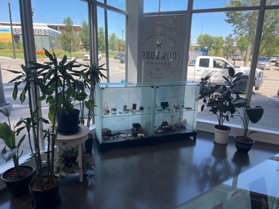 Images Cowbuds Cannabis Weed Dispensary Calgary