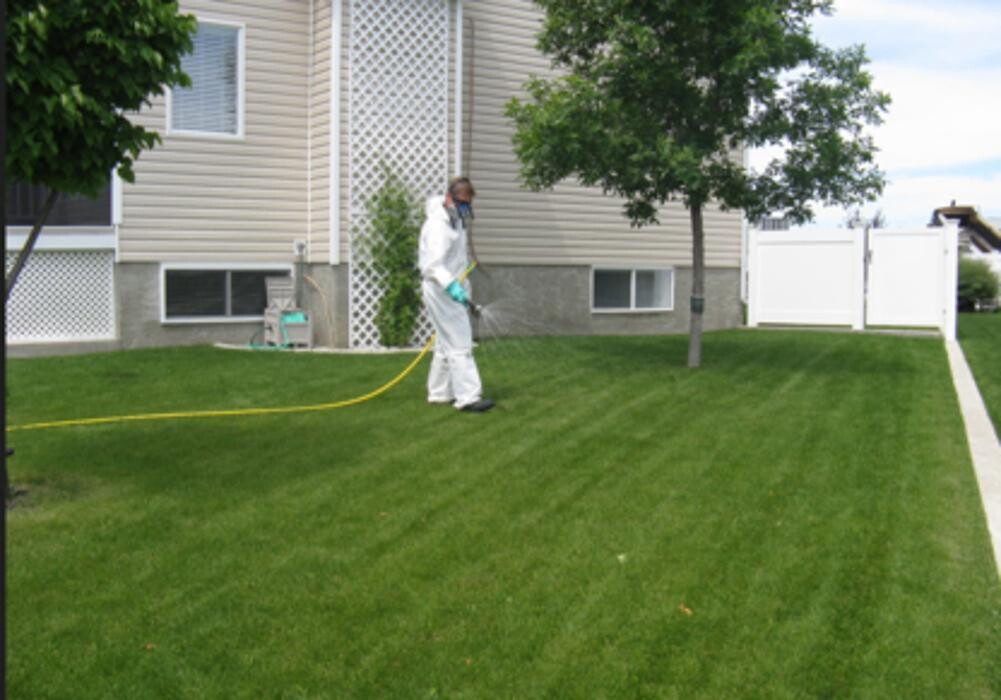 Images Picture Perfect Lawncare