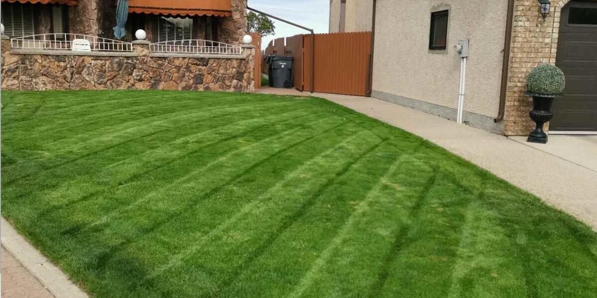 Images Picture Perfect Lawncare