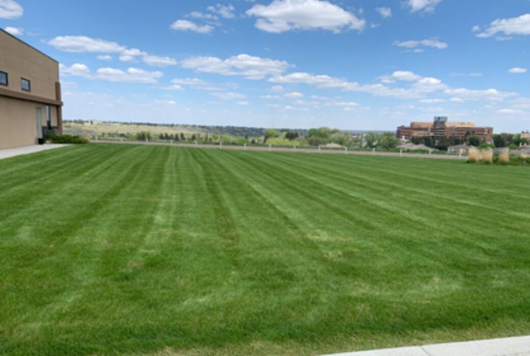 Images Picture Perfect Lawncare