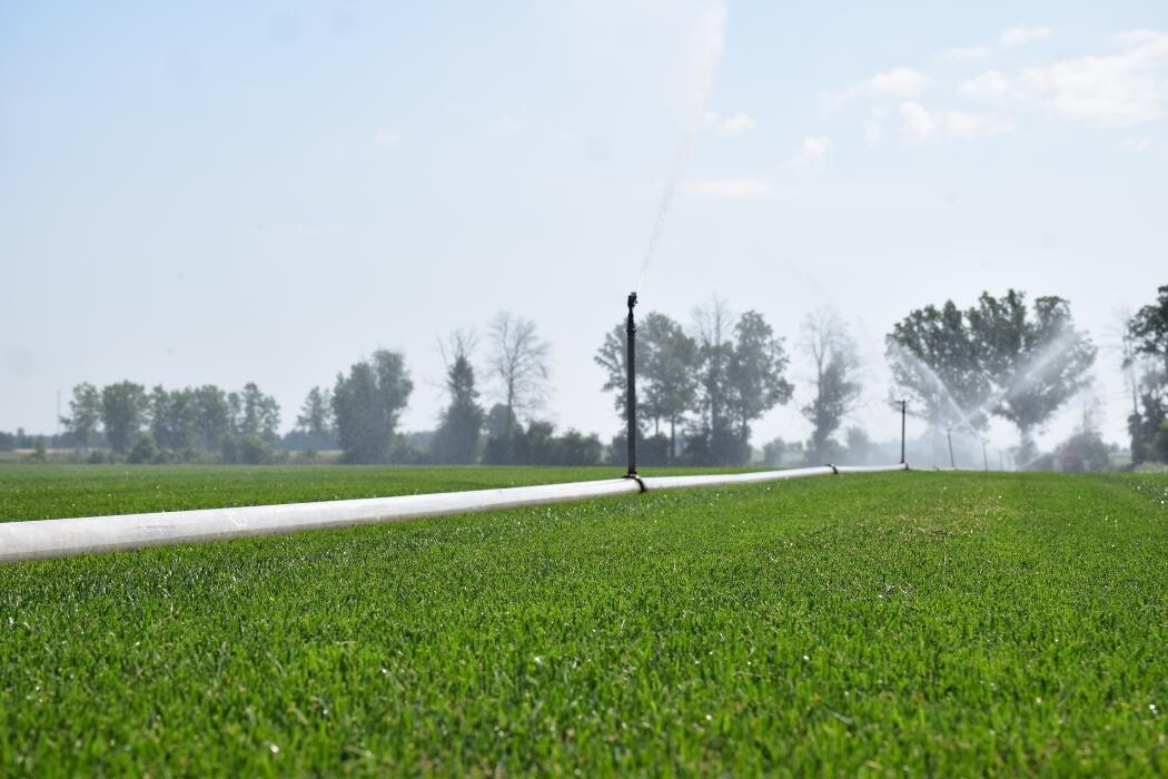 Images KTS Sod Farms Ltd