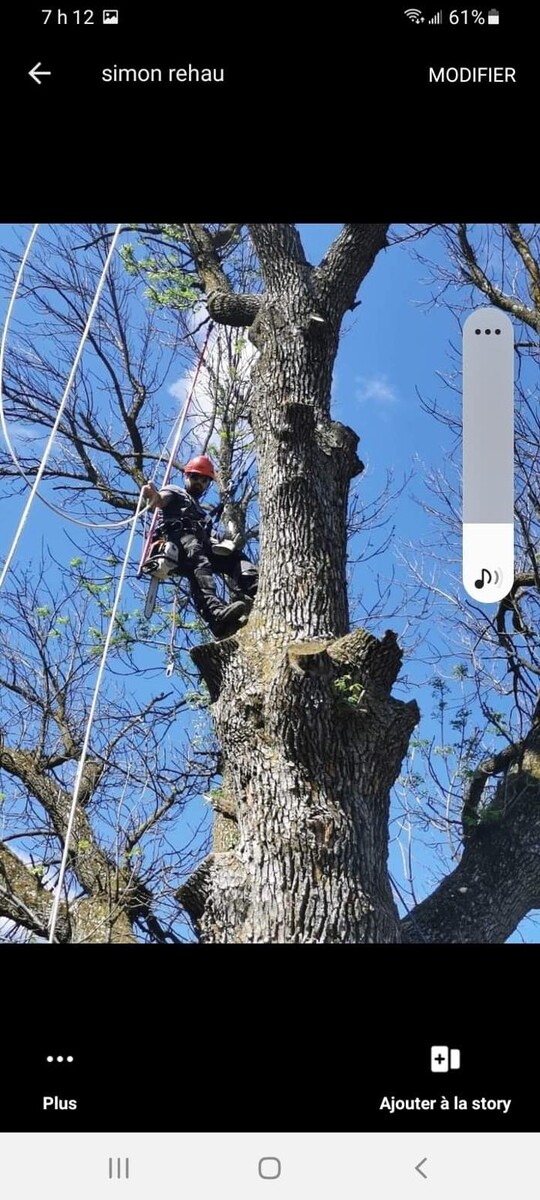 Images Emondage Des Hautes Rives