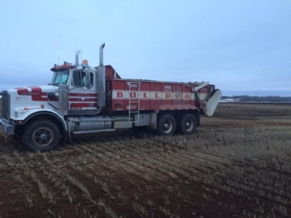 Images Gyorfi Corral Cleaning