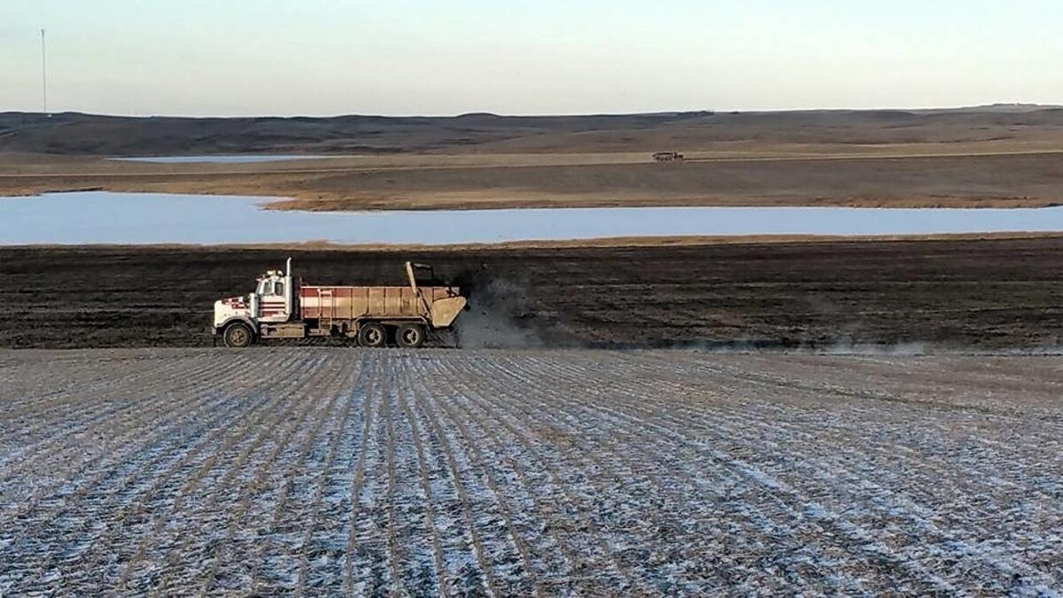 Images Gyorfi Corral Cleaning