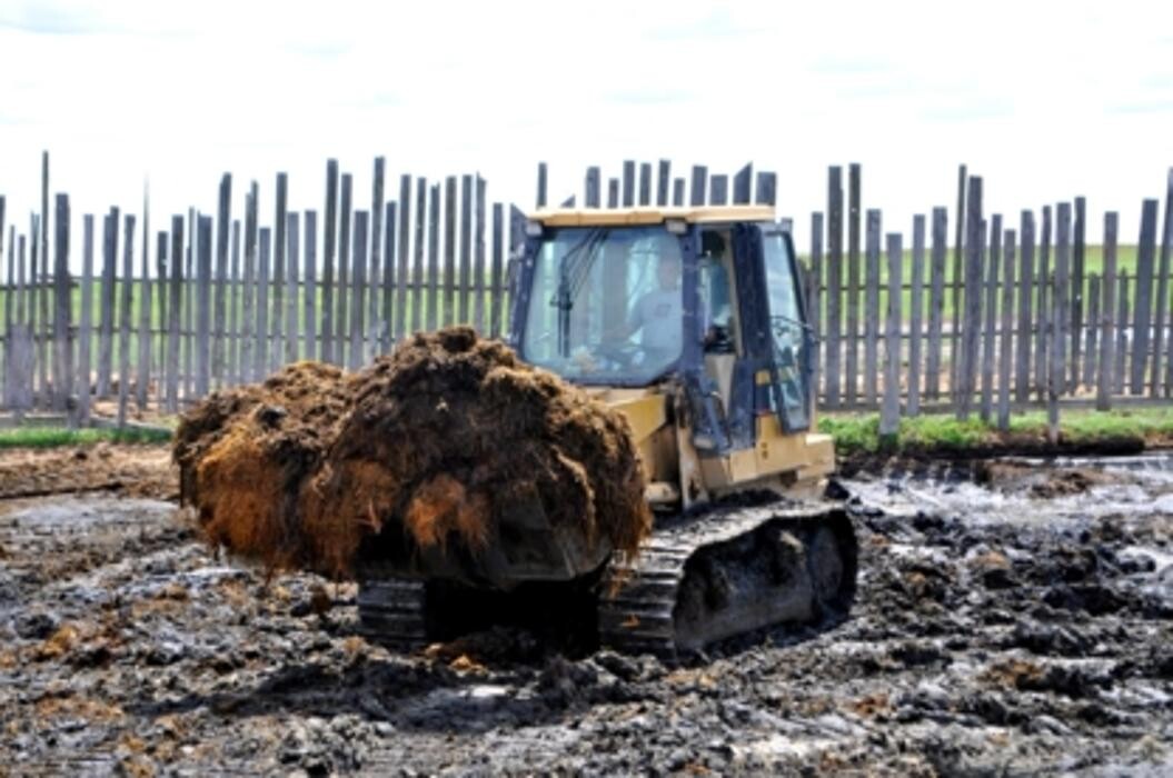 Images Gyorfi Corral Cleaning