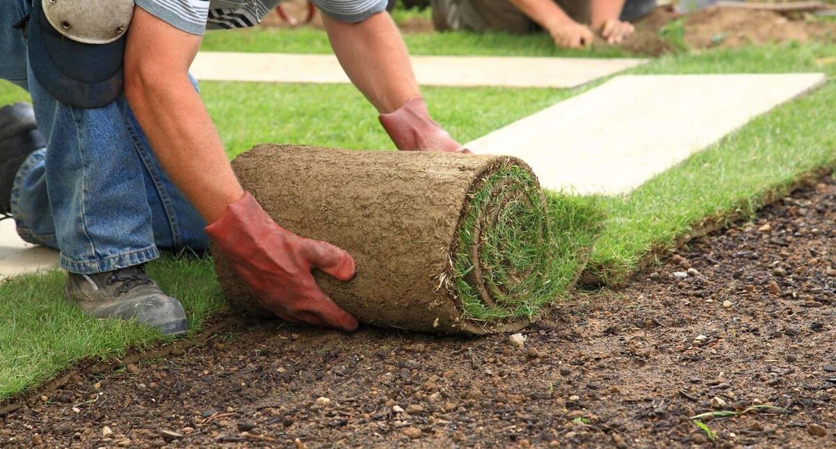 Images Sturgeon Valley Sod