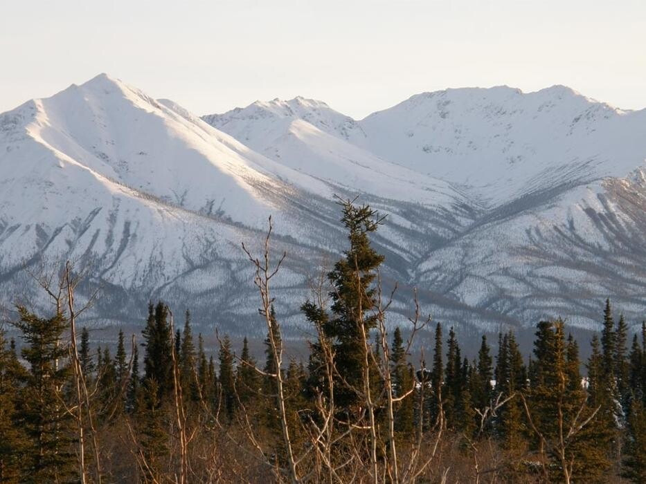 Images Buckshot Betty's Restaurant and Cafe