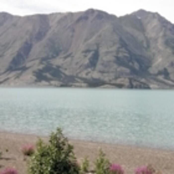 Images Buckshot Betty's Restaurant and Cafe