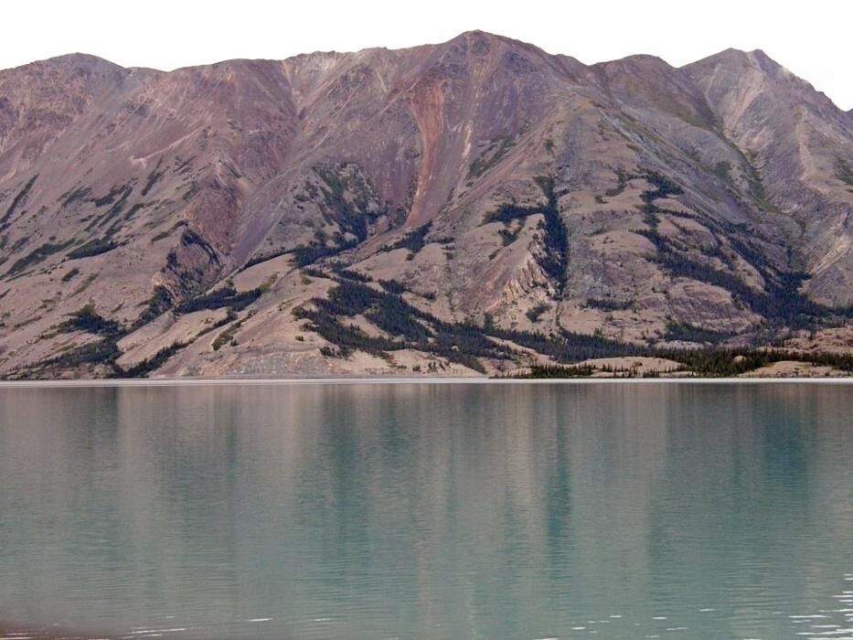 Images Buckshot Betty's Restaurant and Cafe