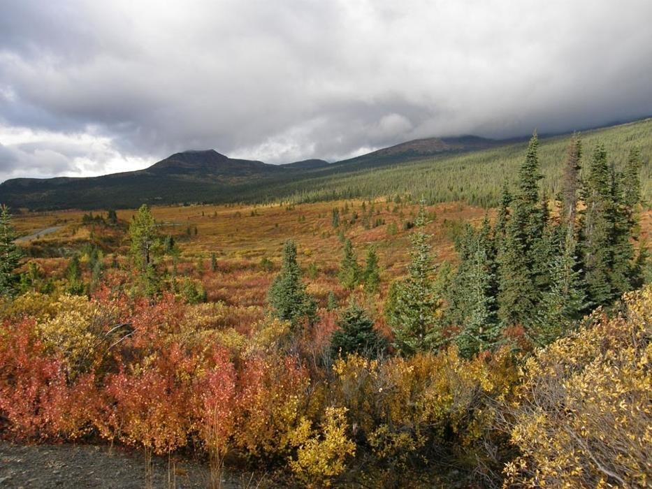 Images Buckshot Betty's Restaurant and Cafe