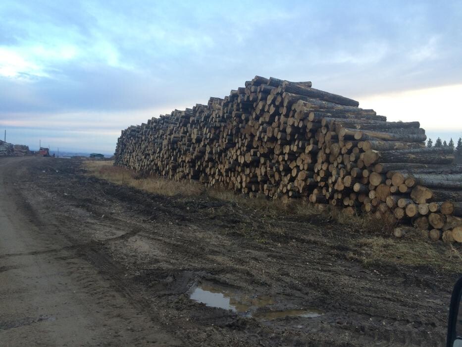 Images Riehl Lumber & Logging Inc