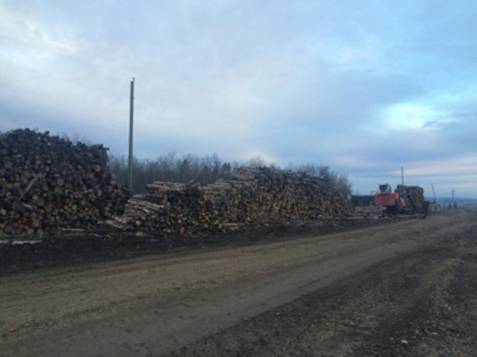 Images Riehl Lumber & Logging Inc
