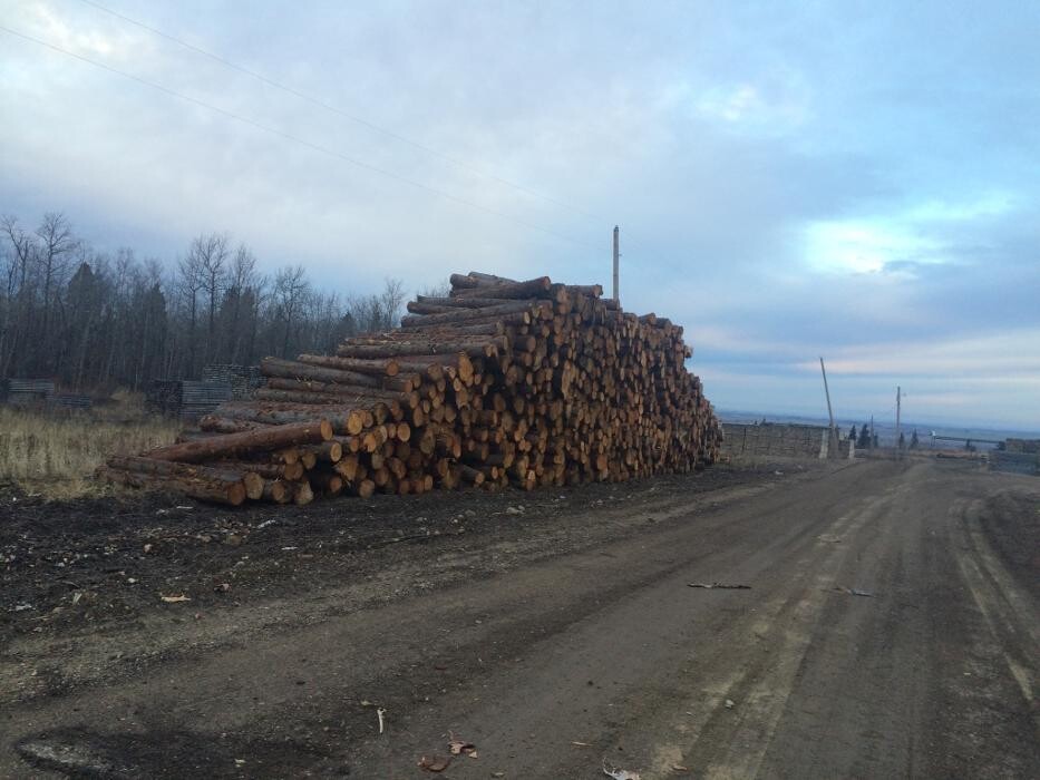 Images Riehl Lumber & Logging Inc