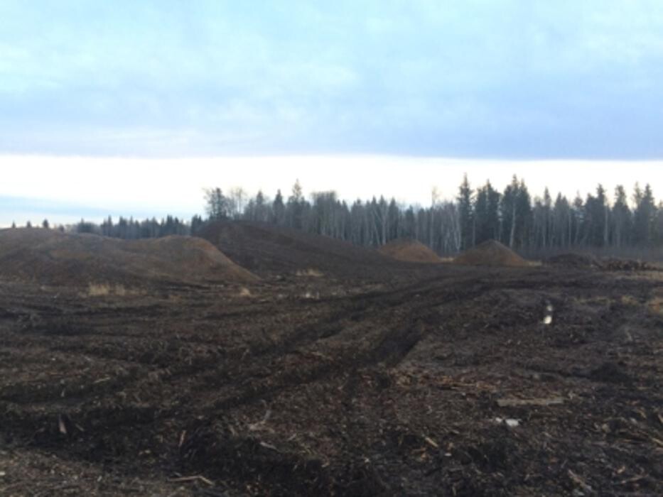 Images Riehl Lumber & Logging Inc