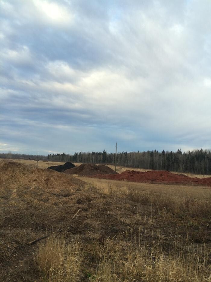 Images Riehl Lumber & Logging Inc