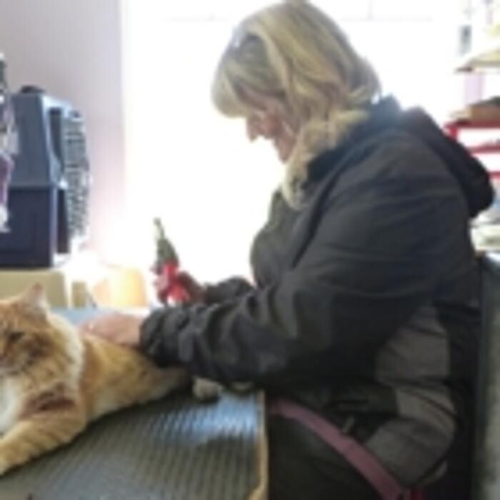 Images Mountain View Pet Resort