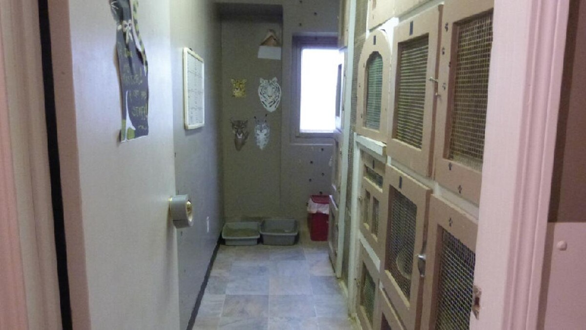 Images Mountain View Pet Resort