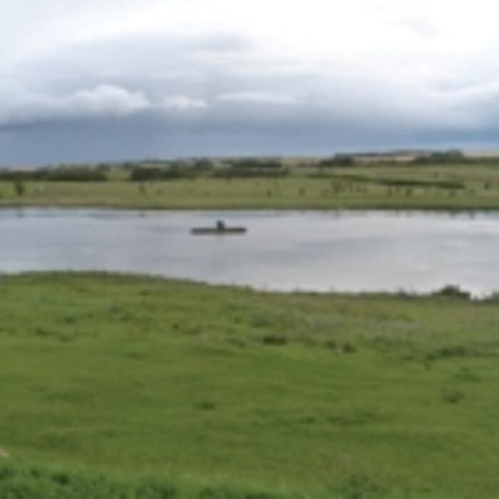 Images Mountain View Pet Resort