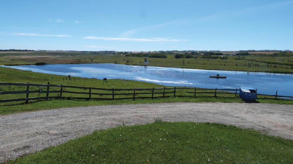 Images Mountain View Pet Resort