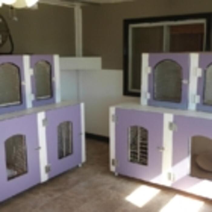 Images Mountain View Pet Resort