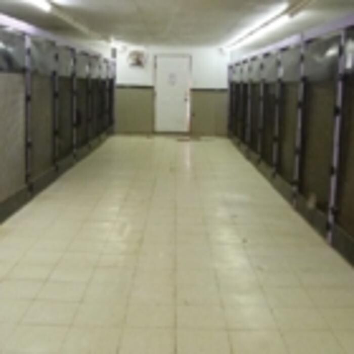 Images Mountain View Pet Resort