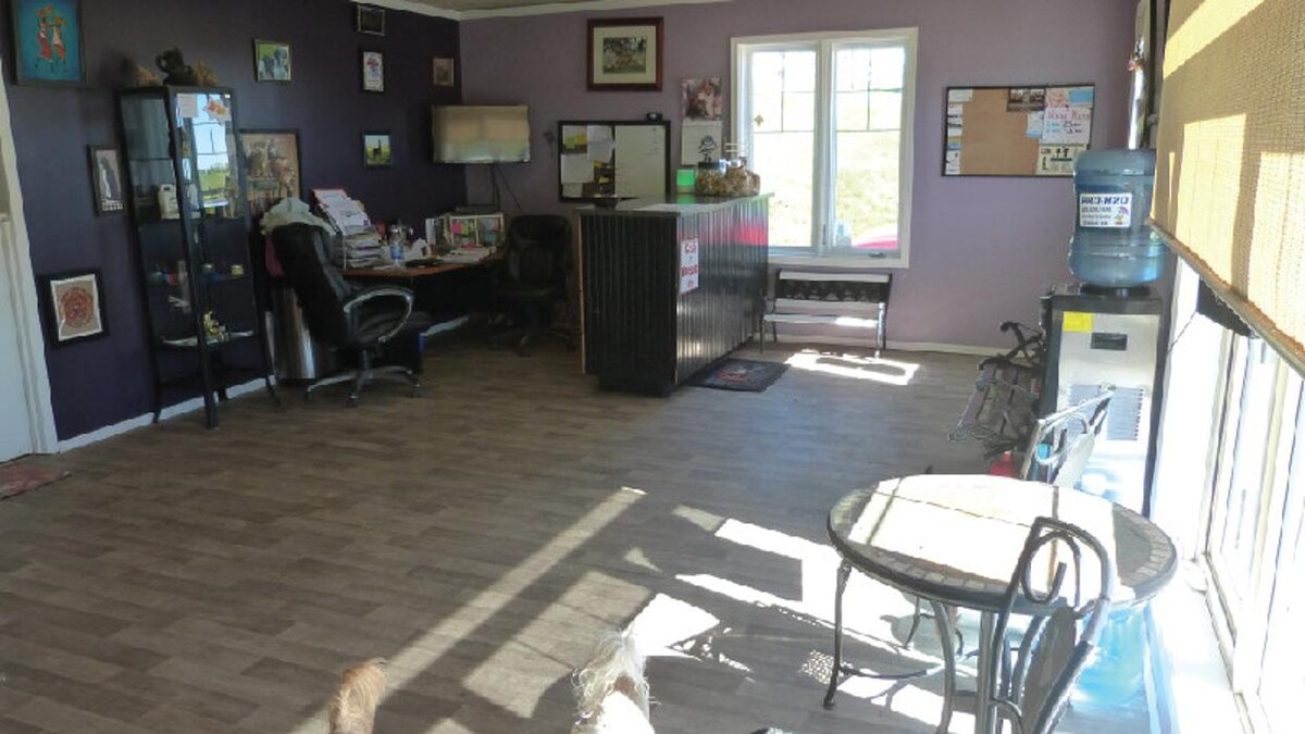 Images Mountain View Pet Resort