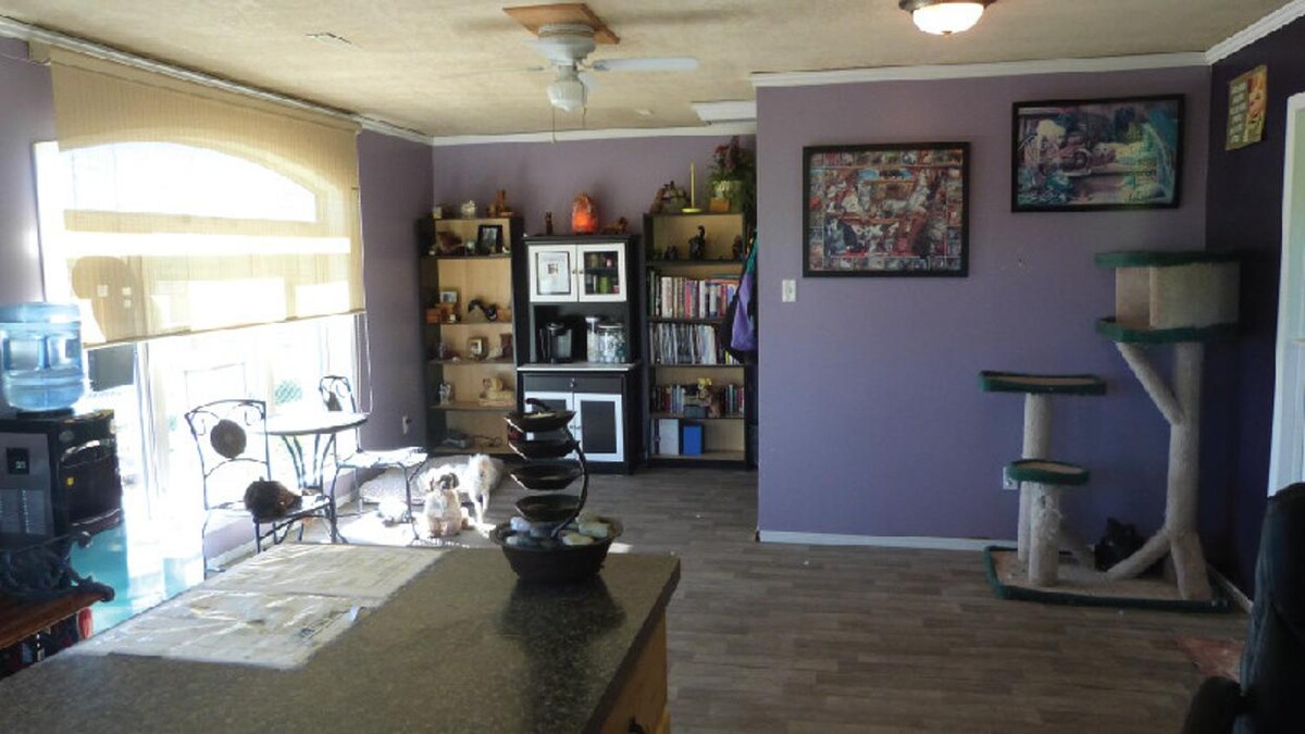 Images Mountain View Pet Resort