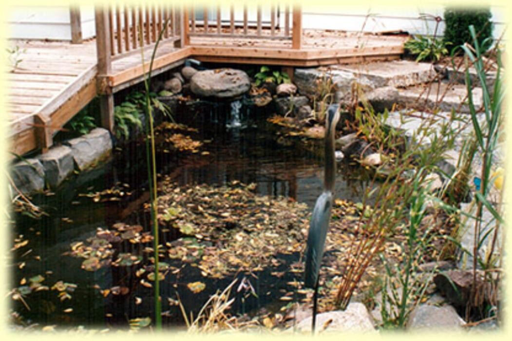 Images Outdoor Design Landscaping