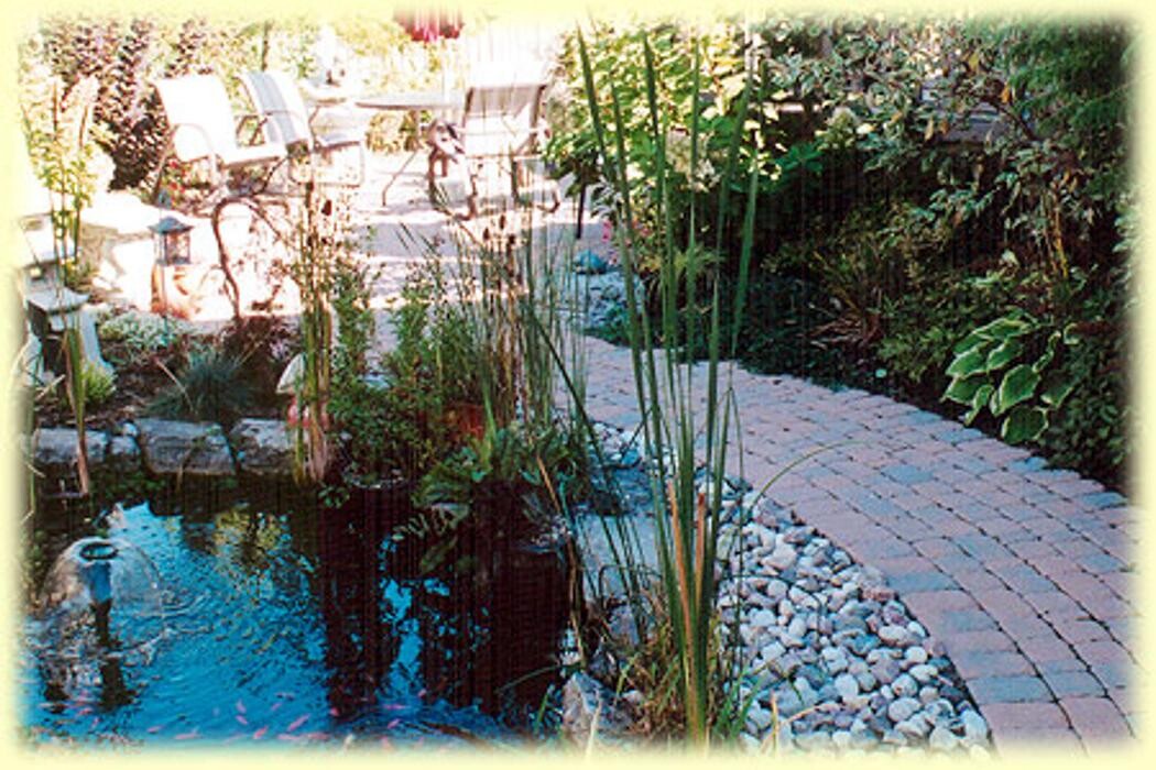 Images Outdoor Design Landscaping