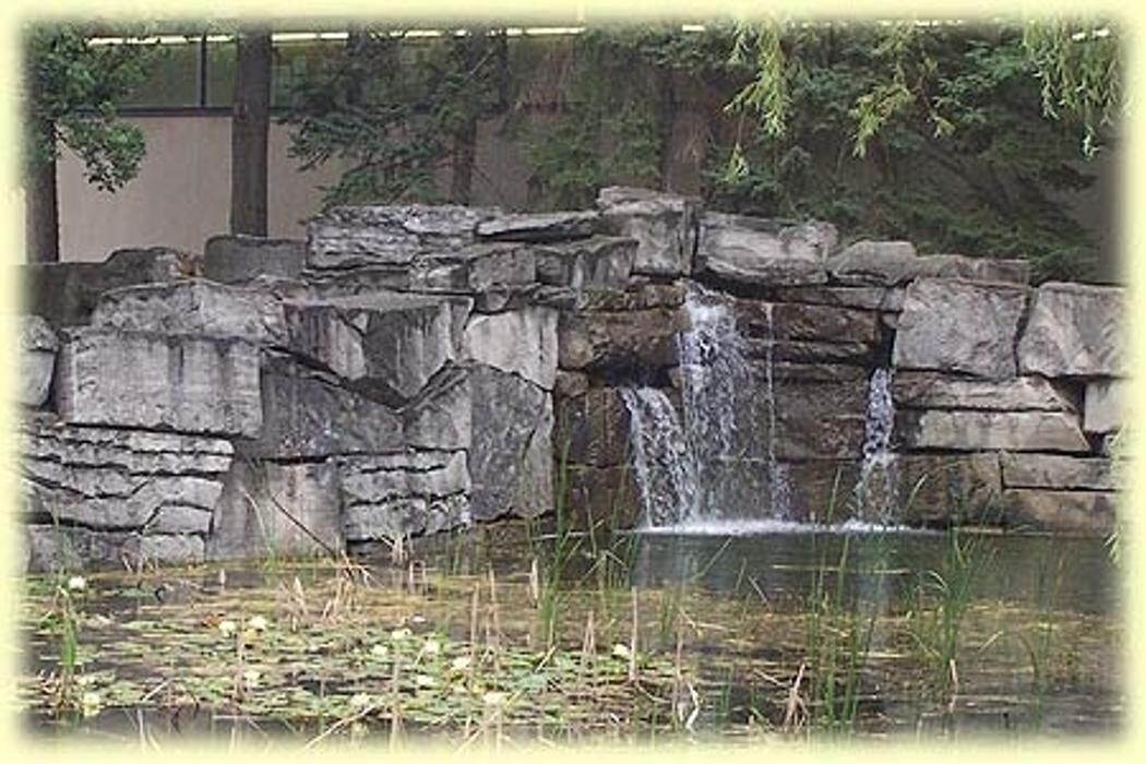 Images Outdoor Design Landscaping