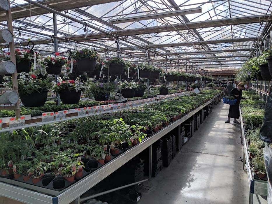Images GARDENWORKS Courtenay