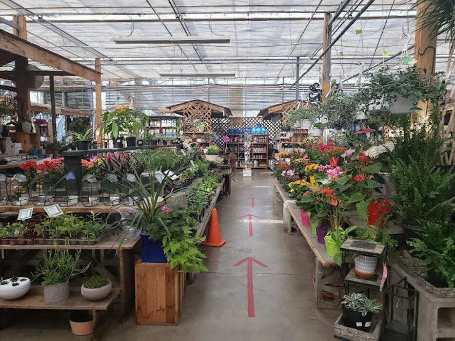 Images GARDENWORKS Courtenay