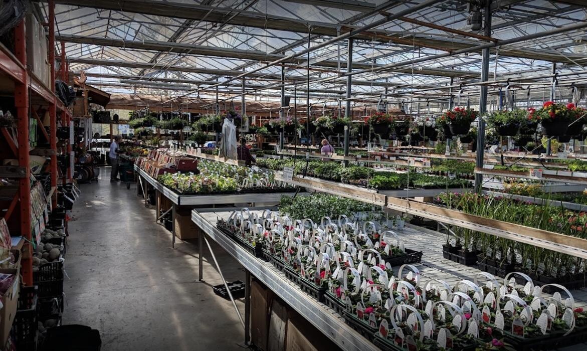 Images GARDENWORKS Courtenay